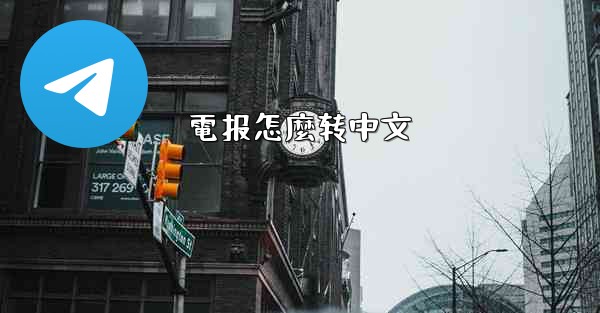 電报怎麼转中文