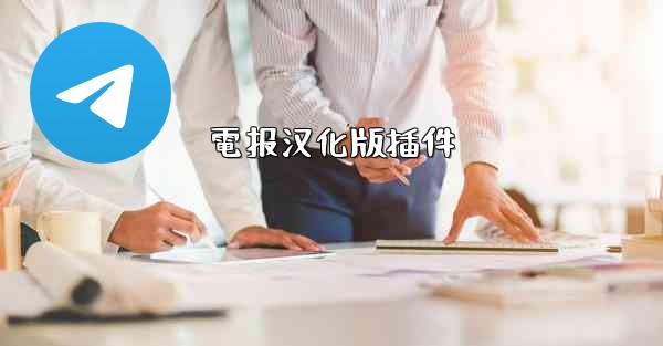 電报汉化版插件