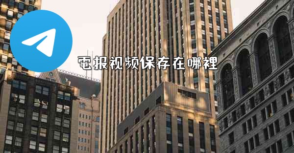 電报视频保存在哪裡