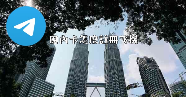 國內卡怎麼註冊飞機