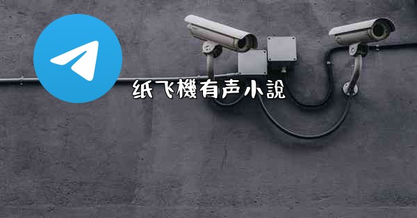 纸飞機有声小說