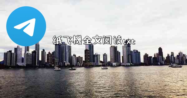 纸飞機全文阅读txt
