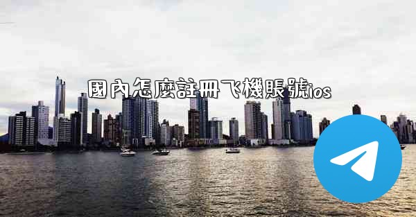 國內怎麼註冊飞機賬號ios