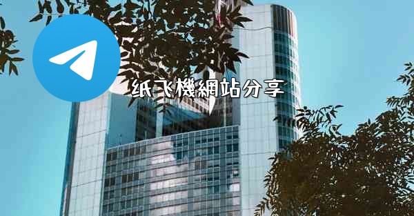 纸飞機網站分享