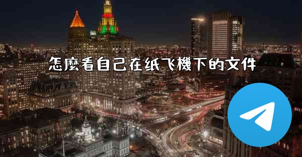 怎麼看自己在纸飞機下的文件