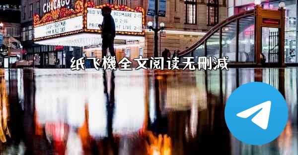 纸飞機全文阅读无刪減