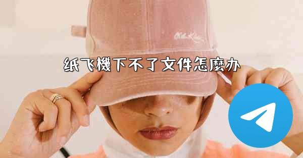纸飞機下不了文件怎麼办