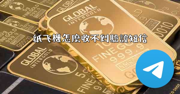 纸飞機怎麼收不到驗證短信