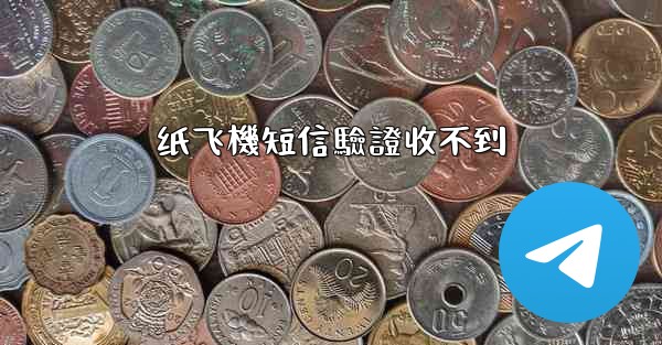 纸飞機短信驗證收不到