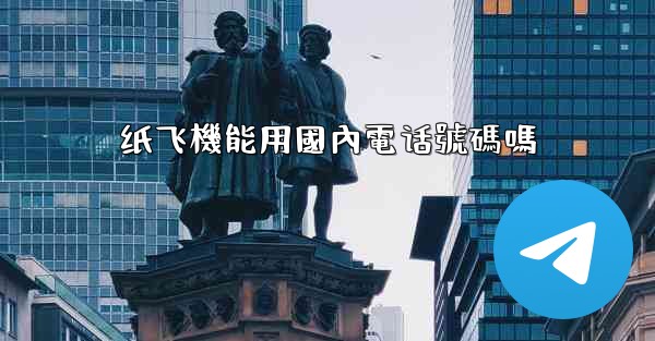 纸飞機能用國內電话號碼嗎