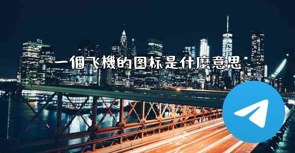 一個飞機的图标是什麼意思