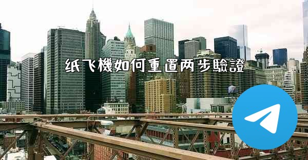 纸飞機如何重置两步驗證