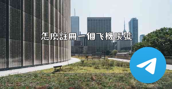 怎麼註冊一個飞機賬號