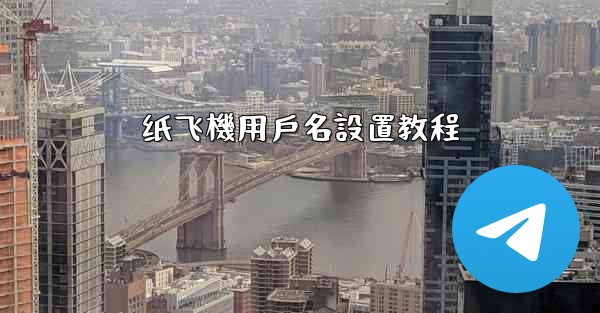 纸飞機用戶名設置教程