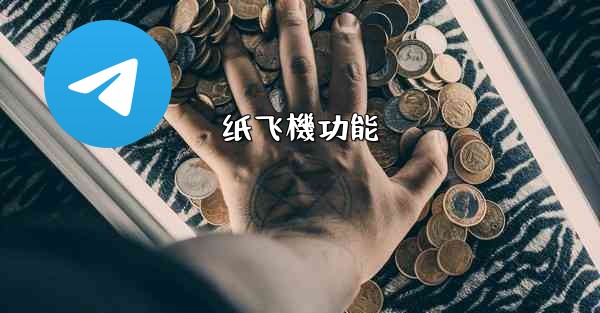 纸飞機功能