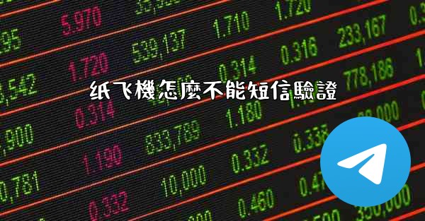 纸飞機怎麼不能短信驗證