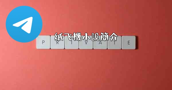 纸飞機小說簡介