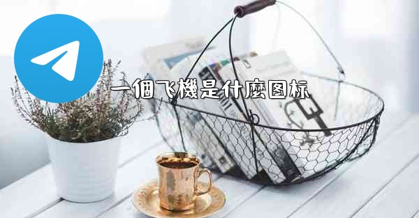 一個飞機是什麼图标