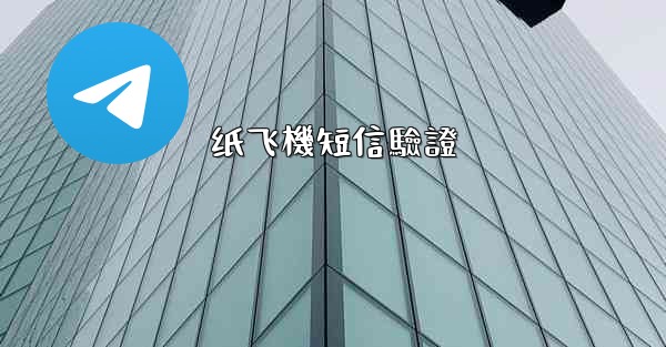 纸飞機短信驗證