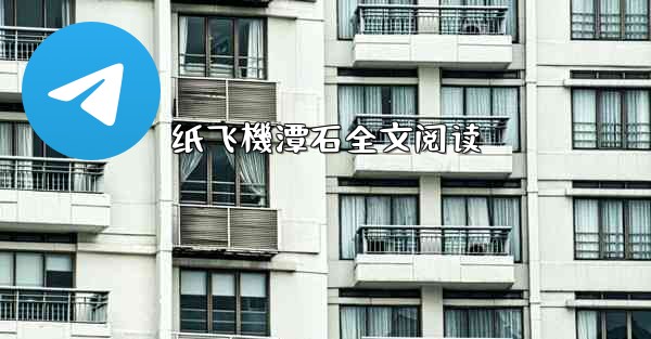 纸飞機潭石全文阅读