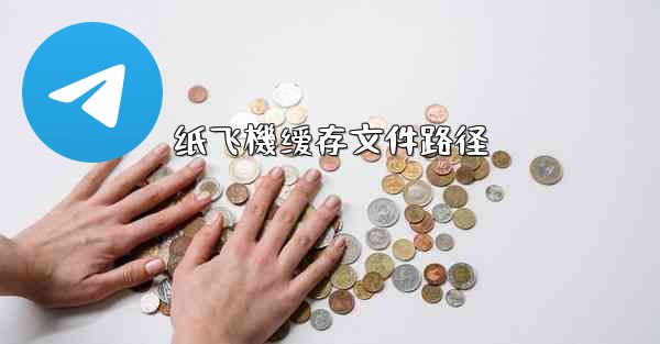 纸飞機缓存文件路径