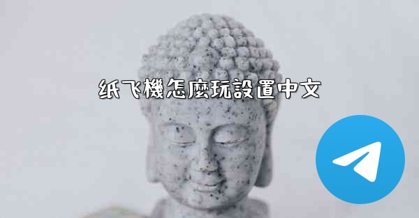 纸飞機怎麼玩設置中文