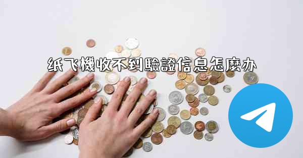 纸飞機收不到驗證信息怎麼办