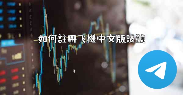 如何註冊飞機中文版賬號