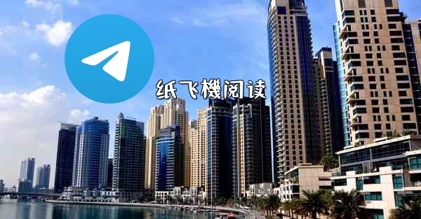 纸飞機阅读