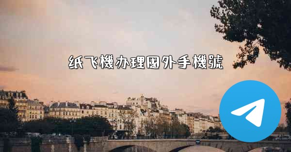 纸飞機办理國外手機號