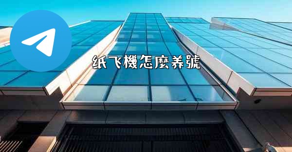 纸飞機怎麼养號