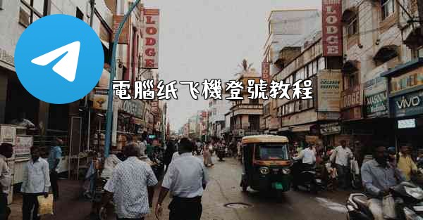 電腦纸飞機登號教程