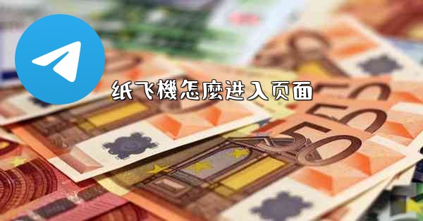 纸飞機怎麼进入页面