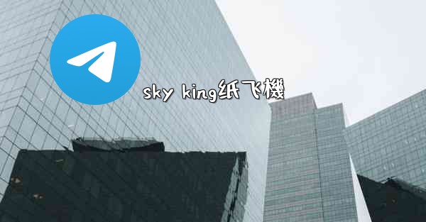 sky king纸飞機