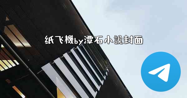 纸飞機by潭石小說封面