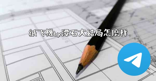 纸飞機by潭石大結局怎麼样