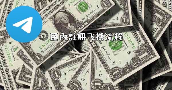 國內註冊飞機流程