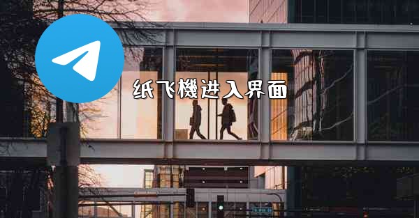 纸飞機进入界面