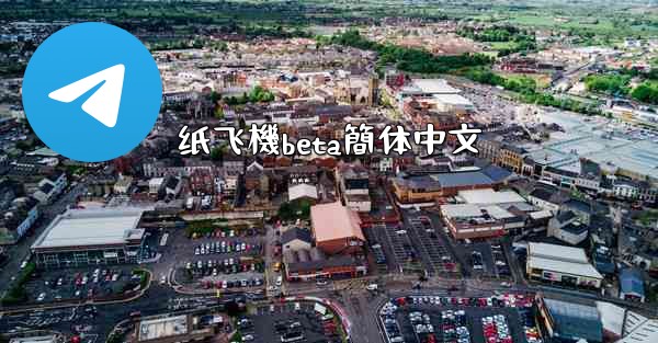 纸飞機beta簡体中文