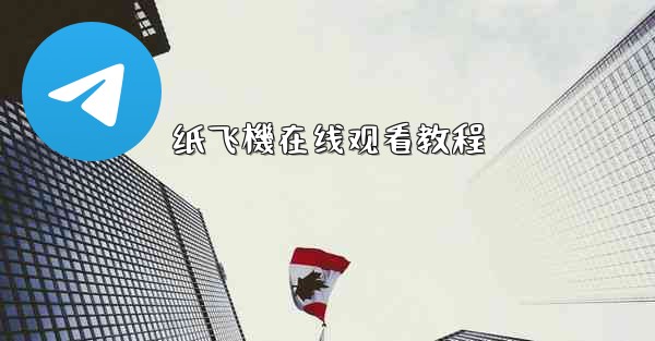 纸飞機在线观看教程