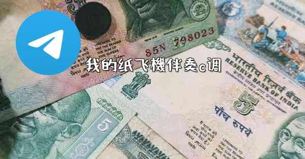 我的纸飞機伴奏c调