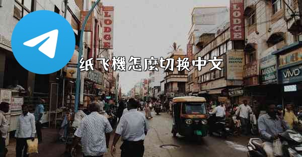 纸飞機怎麼切换中文