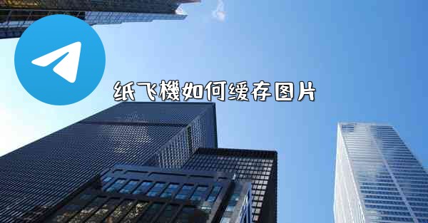 纸飞機如何缓存图片