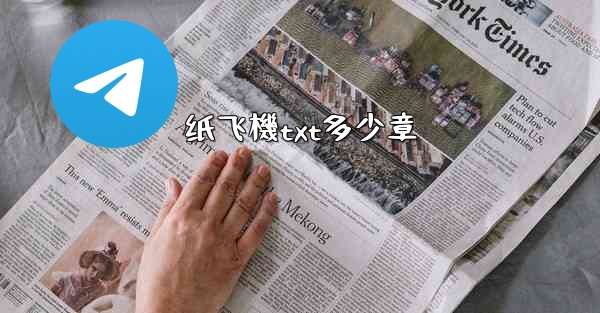 纸飞機txt多少章