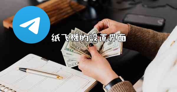 纸飞機的設置界面