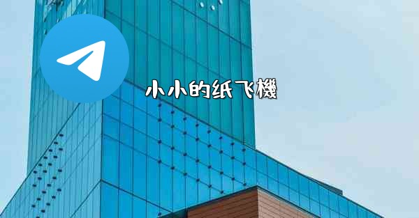 小小的纸飞機