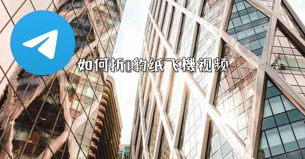 如何折猎豹纸飞機视频