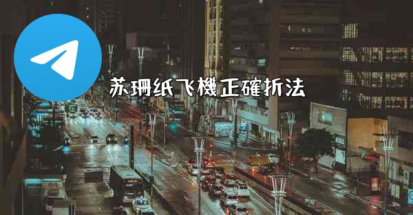 苏珊纸飞機正確折法