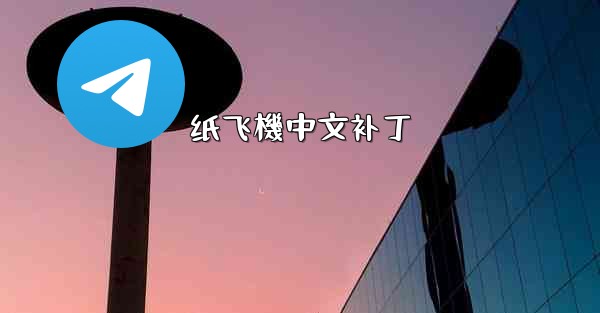 纸飞機中文补丁