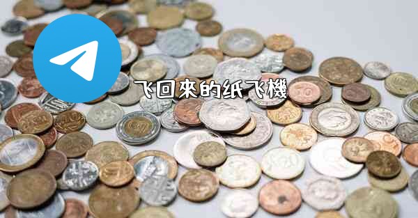 飞回來的纸飞機